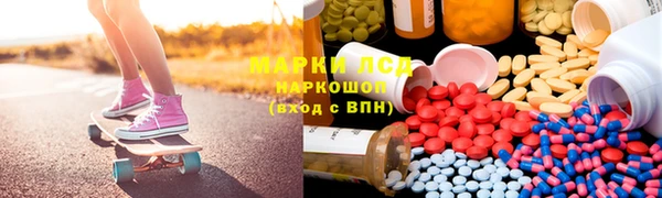 PSILOCYBIN Нязепетровск