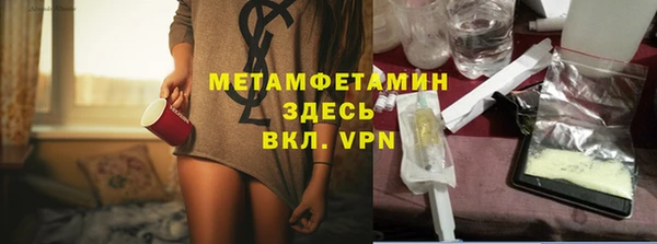 сатива Аркадак