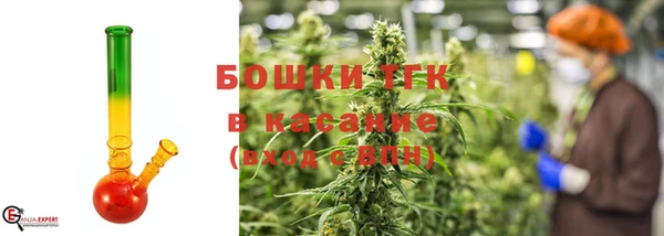 PSILOCYBIN Нязепетровск