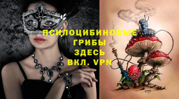 сатива Аркадак