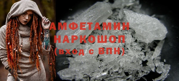 сатива Аркадак