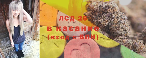 сатива Аркадак