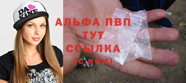 сатива Аркадак