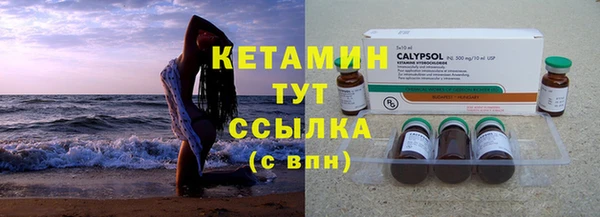 сатива Аркадак